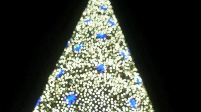 arbol iluminado navidad 2015