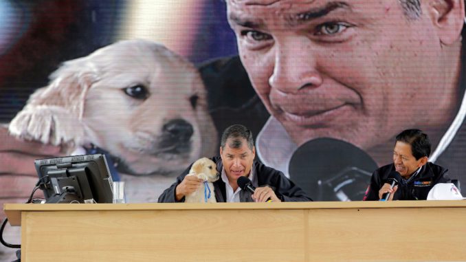 correa perro