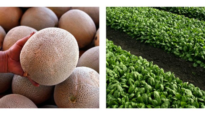 EEUU-ALIMENTOS-SEGURIDAD