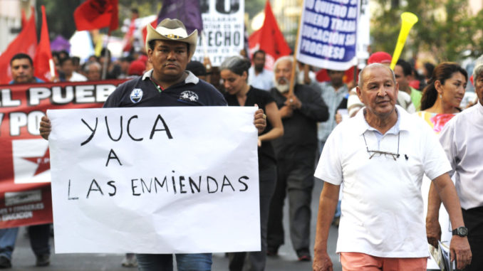 yuca