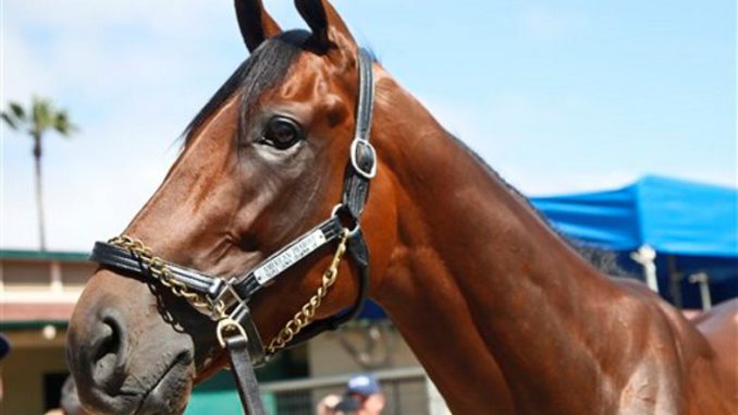 Caballo ganador triple corona hipismo