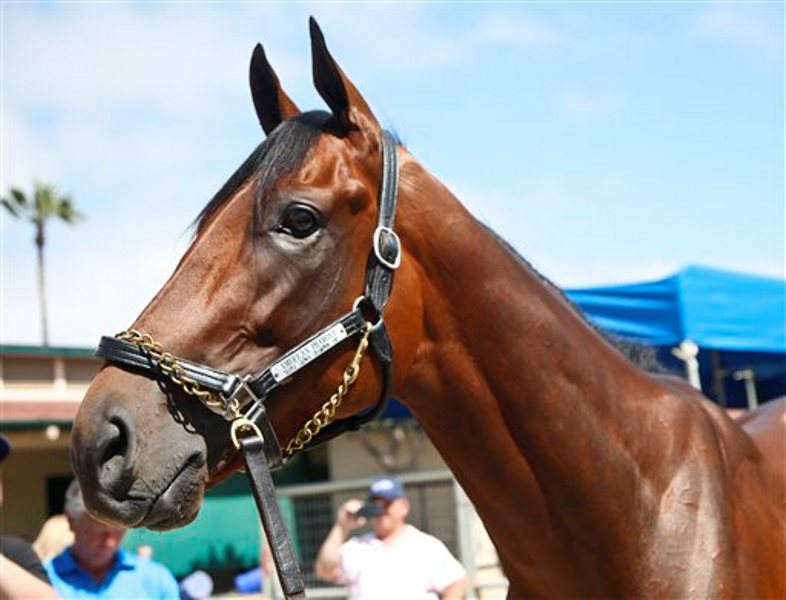 Caballo ganador triple corona hipismo
