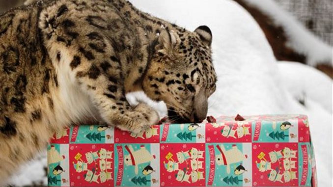 zoológico Nebraska regalos animales