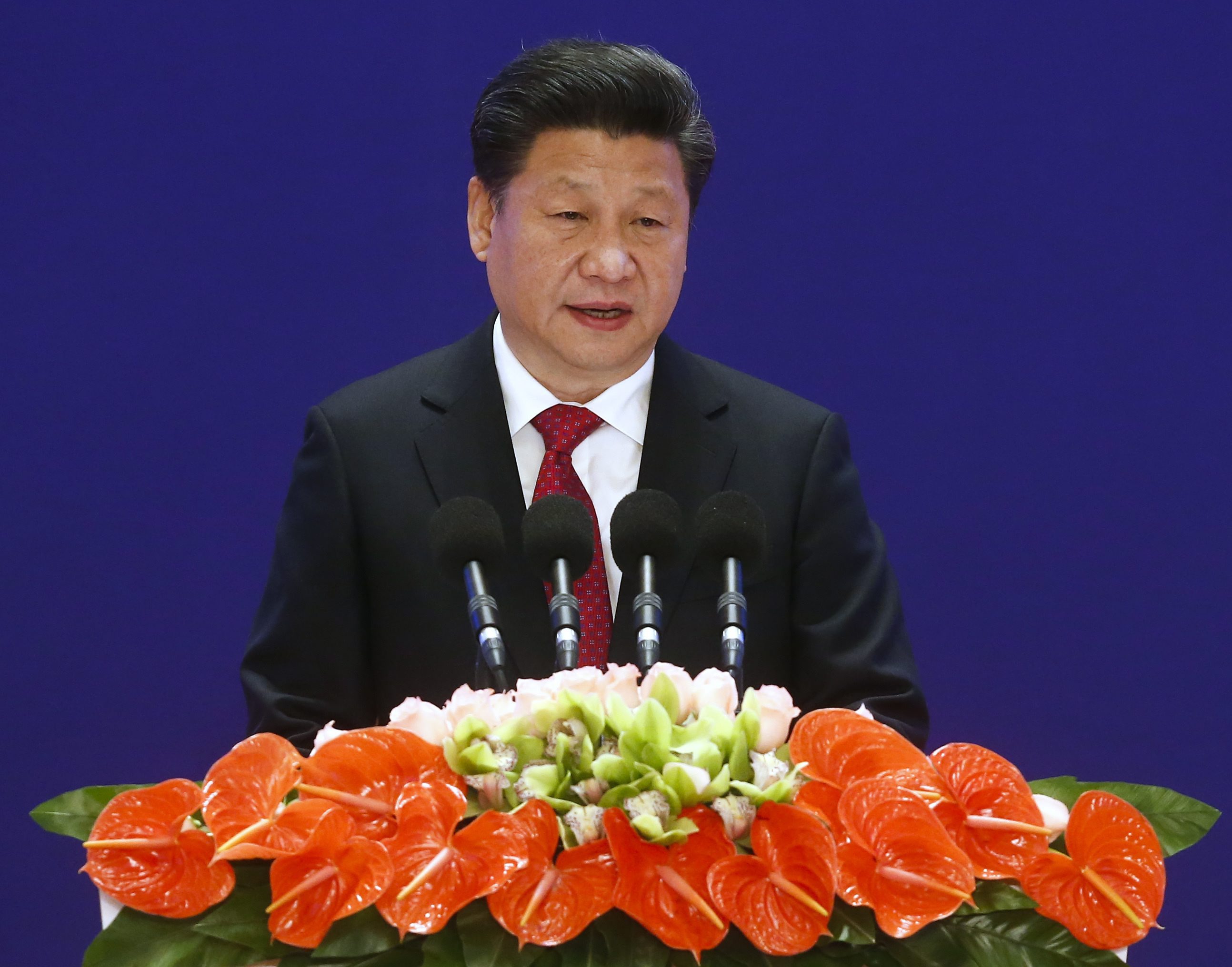 Asian Infrastructure Investment Bank opening ceremony in Beijing