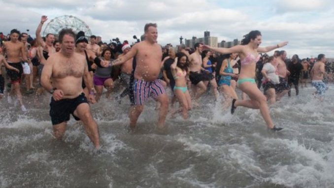 Coney Island Polar Bear