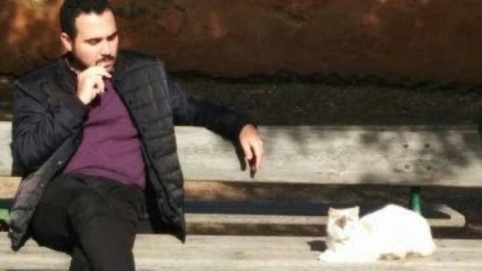 Nayi-gato-twitter