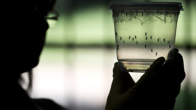 Zika