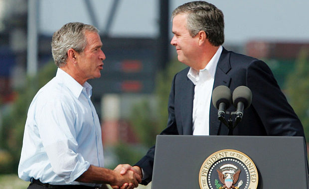 jeb bush