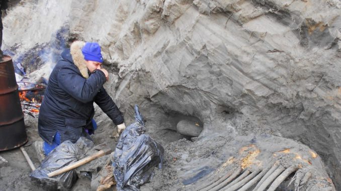 ARTICO-PREHISTORIA