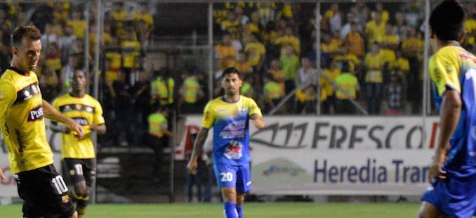 noche cetacea