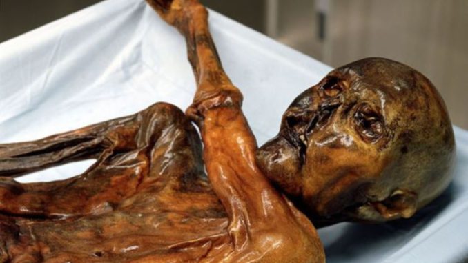 otzi