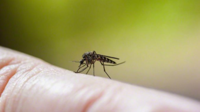 zika