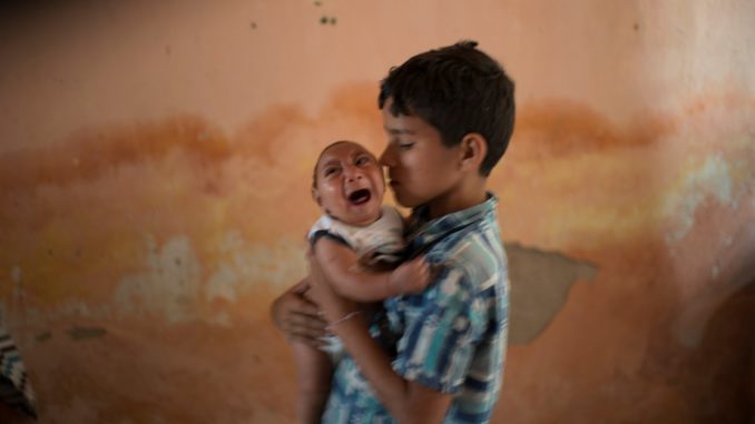 ZIKA BRASIL