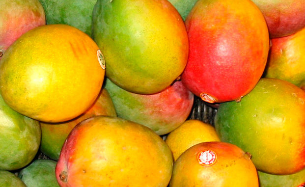 mango