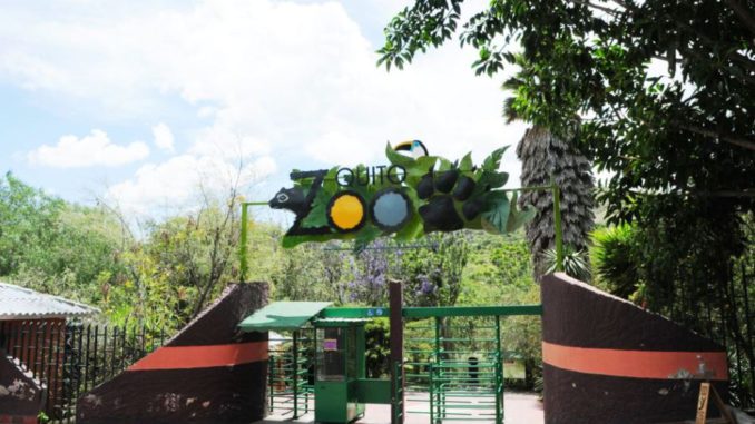 zoo