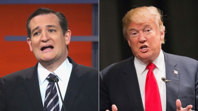 cruz trump