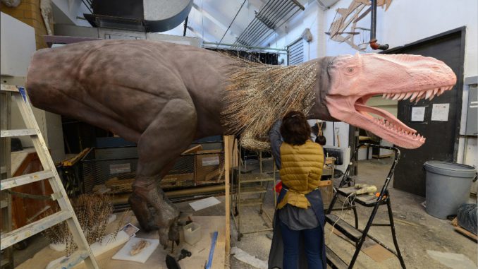 DINOSAURIOS Y AVES