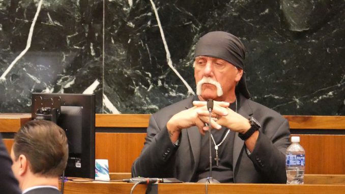 Hulk Hogan, Terry Bollea