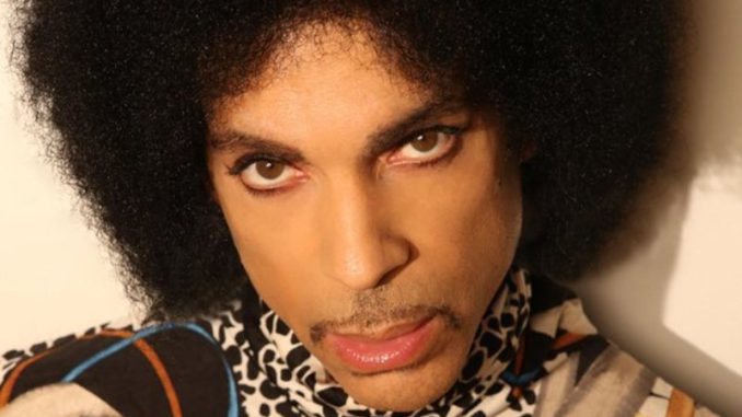 Prince rostro
