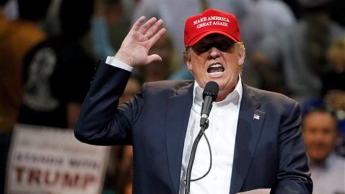 Trump make america great again