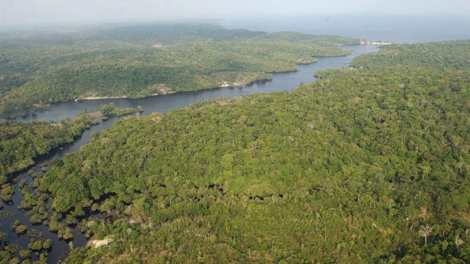 amazonas