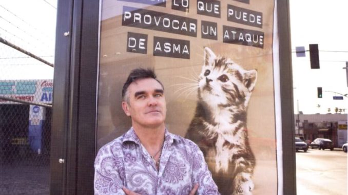 morrissey_gato