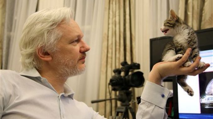 Assange