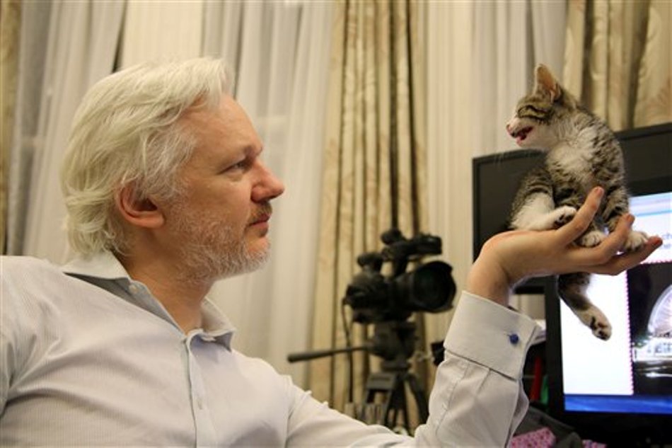 Assange