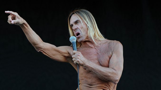 Raw power: Iggy Pop at the Isle of Wight festival in 2011.