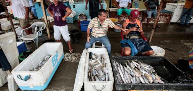 mariscos