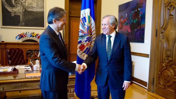 Lasso oea
