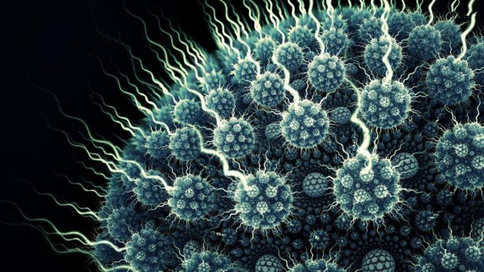 hepatitis