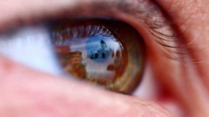 retina