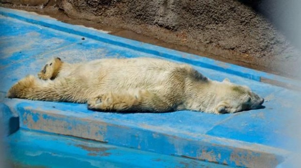 Arturo