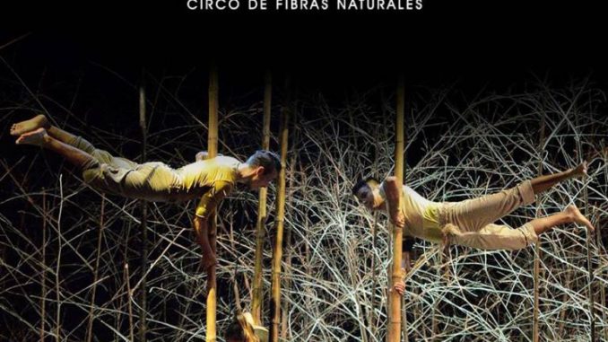 Guadual circo de fibras naturaoles