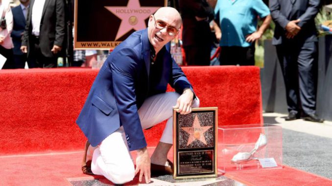 Pitbul estrella Hollywood
