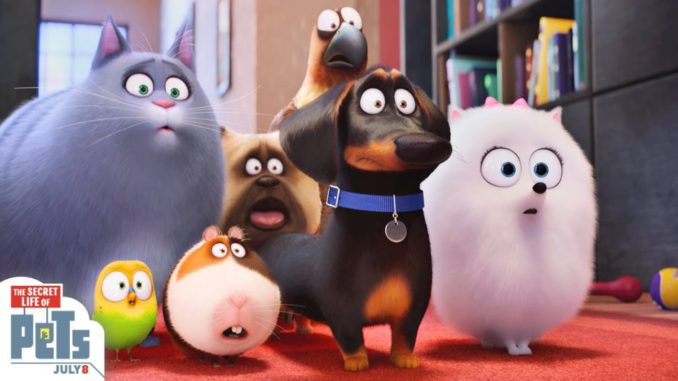 The secret life of pets