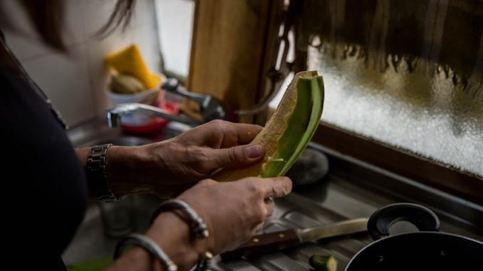 Venezuela alimentos posibles