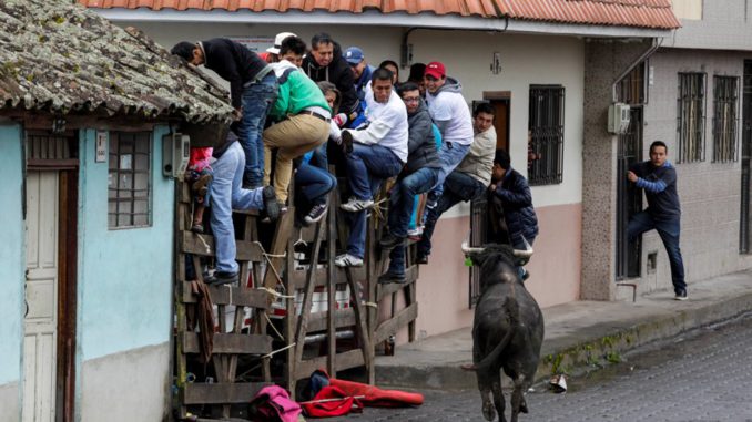 UNA "PAMPLONADA" CIERRA LA FIESTA EN PILLARO, CIUDAD DE "DIABLOS" EN ECUADOR