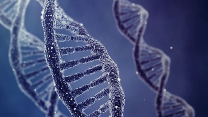 dna