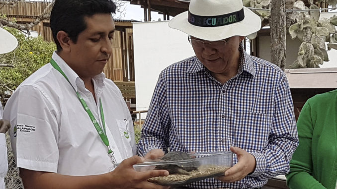 Ban Ki-moon apadrina tortuga gigante y llama a proteger las Islas Galápagos