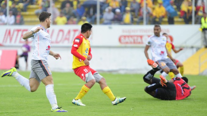 aucas-delfin