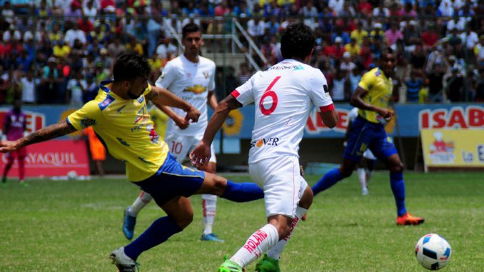 liga-delfin