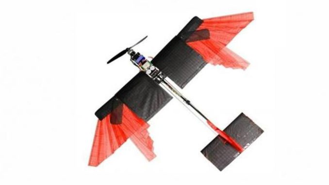 dron-como-ave