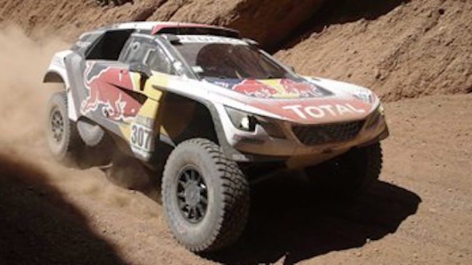 Cyril Despres,David Castera
