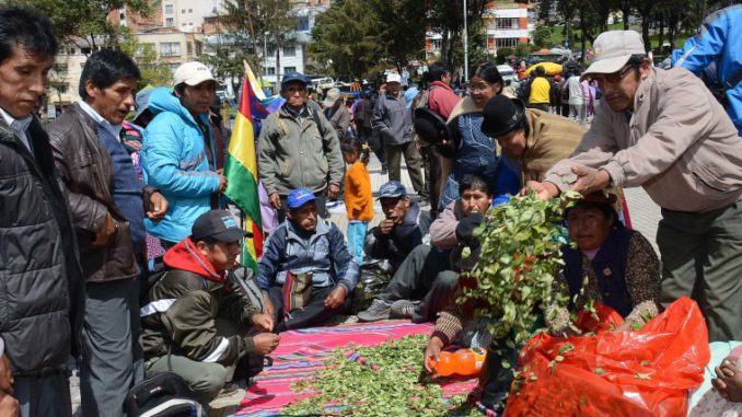 hoja-de-coca-subir