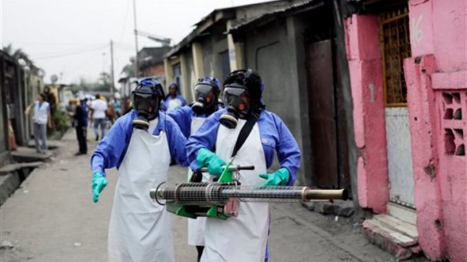 Brasil fiebre amarilla