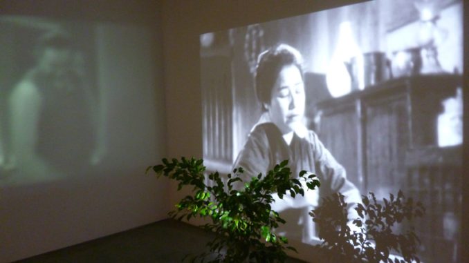 Jorge Aycart jardín japonés y sra