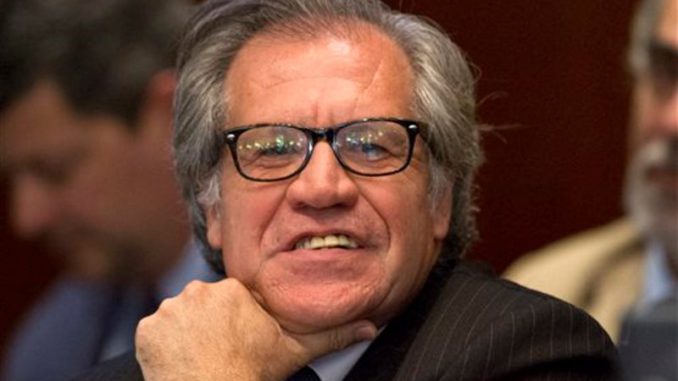 Luis Almagro OEA
