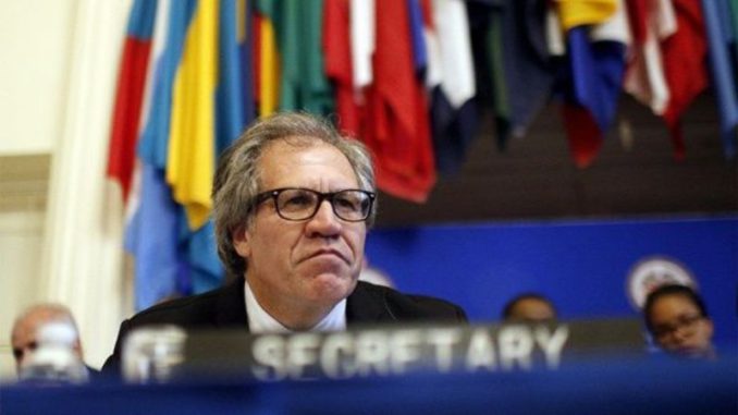 Luis Almagro con banderas